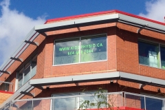 Kids Physio Window Decals